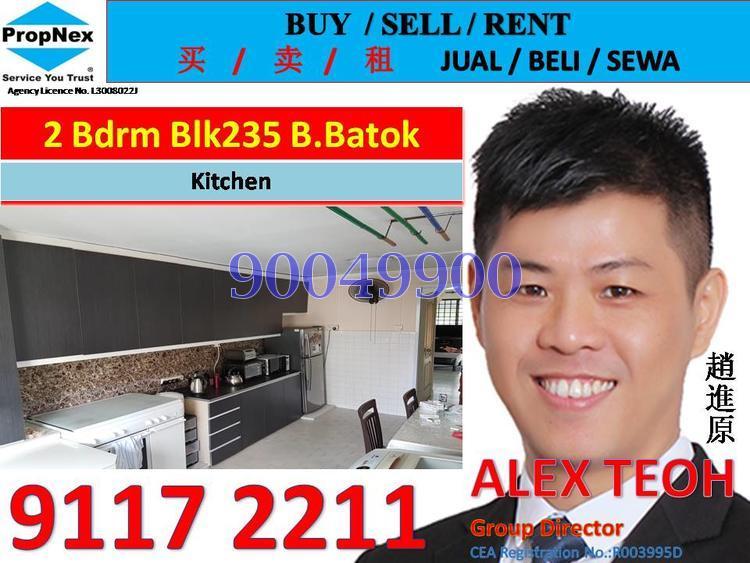 Blk 235 Bukit Batok East Avenue 5 (Bukit Batok), HDB 3 Rooms #139318352